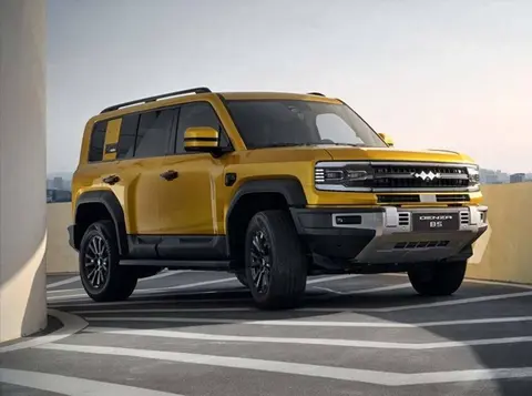 比亚迪销量崩了？错！比亚迪正从